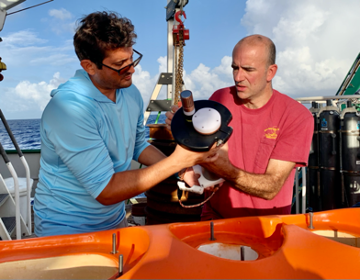 Fieldwork image credit Lisa Beal