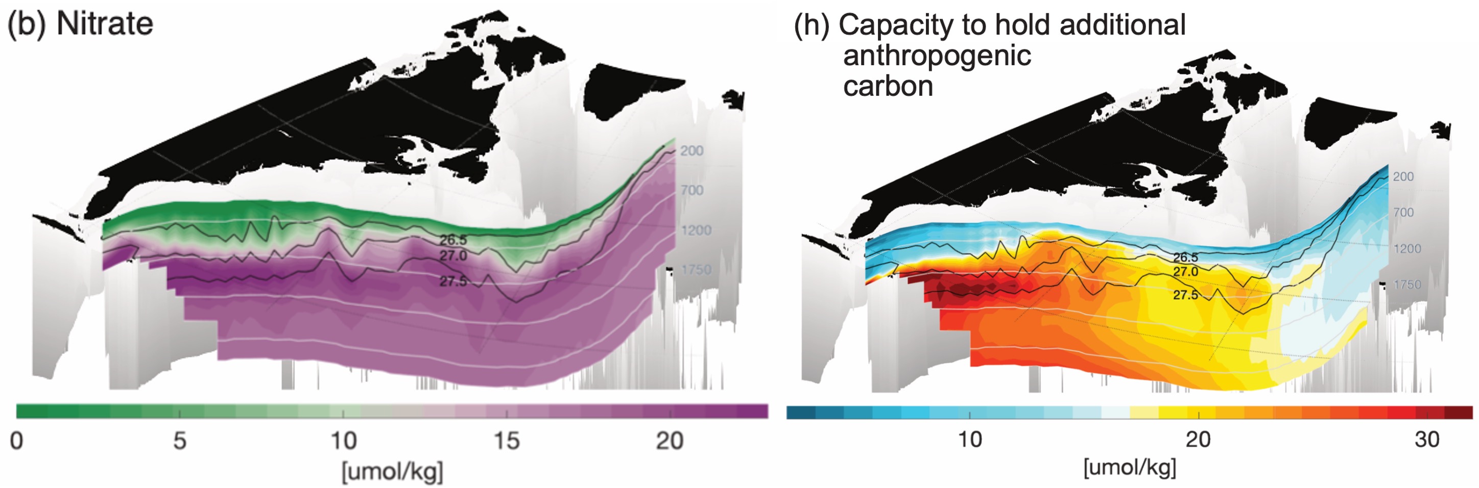 Nitrate and capacity to take up additional carbon along path of Gulf Stream. From https://rdcu.be/e3D4r