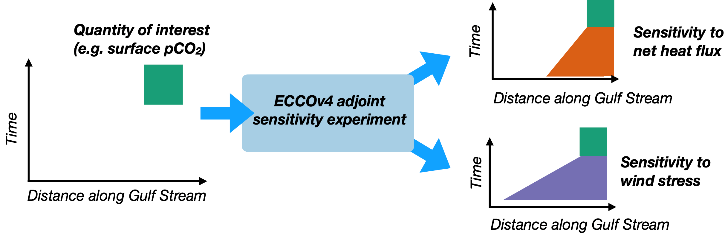 ECCOv4 adjoint models will be used to quantify the sensitivity of physical and biogeochemical quantities of interest (e.g. stratification, pCO<sub>2</sub>)to upstream physical drivers (e.g. heat flux, wind stress)