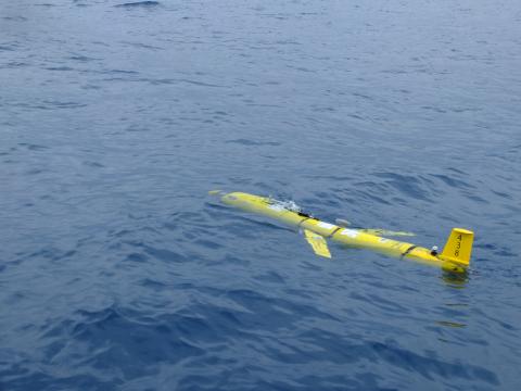 C-Streams uses gliders as part of its fieldwork.